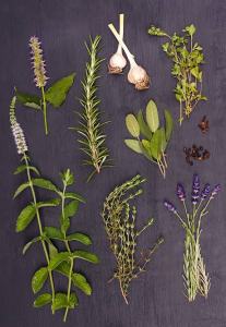 097B50A9-9BB2-4A0E-BE88-366C58C4ECDA