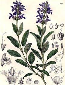 E4C04B86-8F53-43CD-88E1-DA553459DBCD