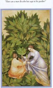 EE58C885-85AC-4E6C-82AC-BFEE2FF0F151