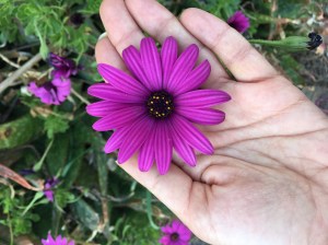 DDEB4041-F704-4B4D-ACD5-EA80A14DA4C7