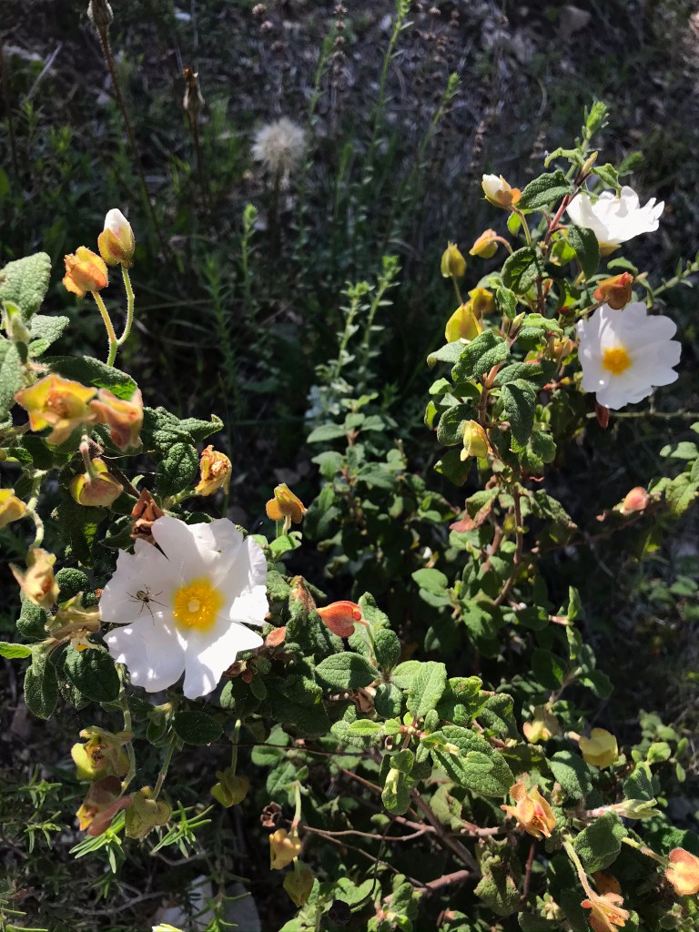 F6A7D710-3BCE-499C-92D4-3456D6044862